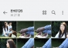 踏青公园街拍美女5套26 290mb