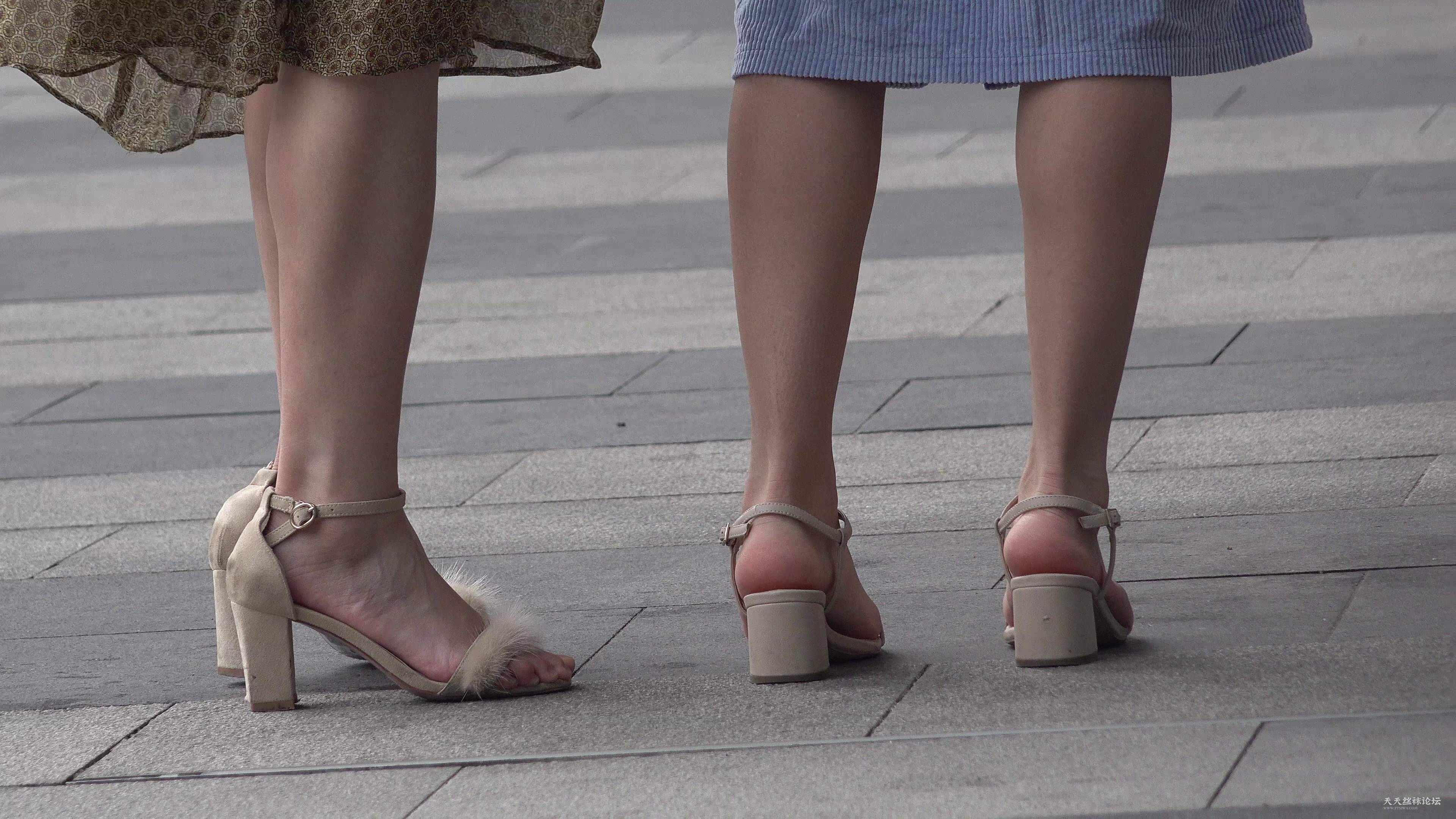 19514-2_截图01_00m26s.jpg