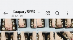 【aapary模拍】玉环的汤丸美脚（120P）
