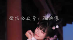 【织梦映像】新作——翩若惊鸿（完整）